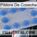 Píldora De Cosecha 21